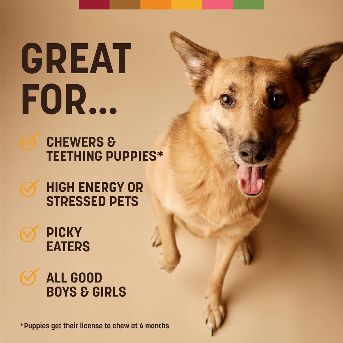 Earth Animal No Hide Dog Chews - Medium Rolls 3 Count