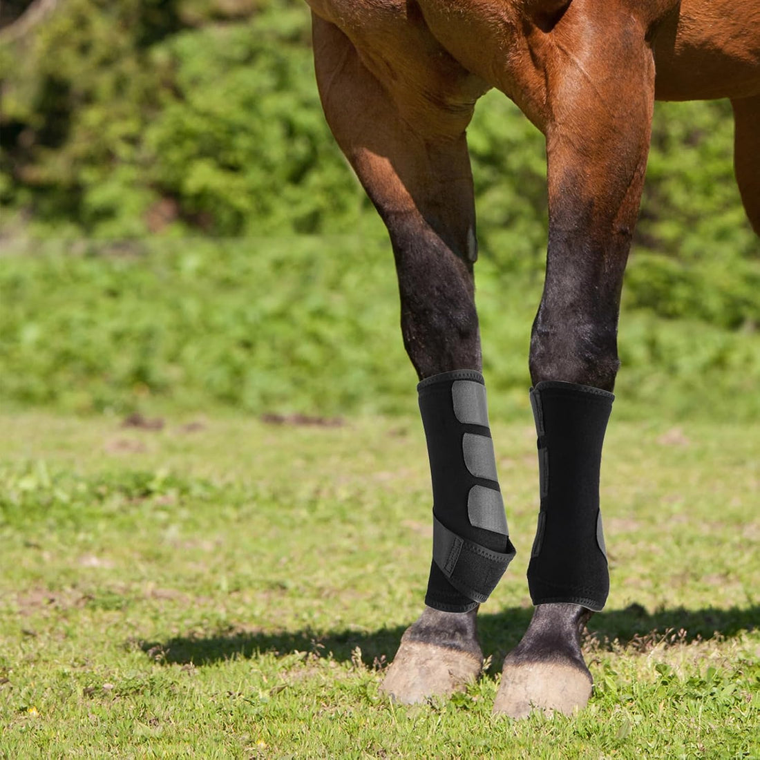 4 Pcs Horse Sport Boots - Neoprene Protective Breathable Comfy Mesh