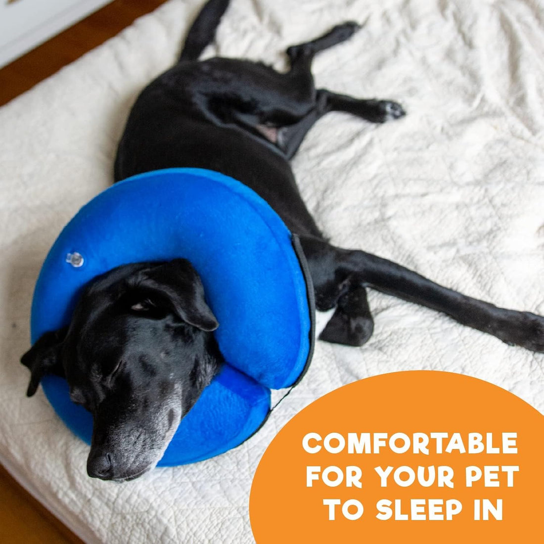 BENCMATE Inflatable Dog Cone Collar Alternative After Surgery Large