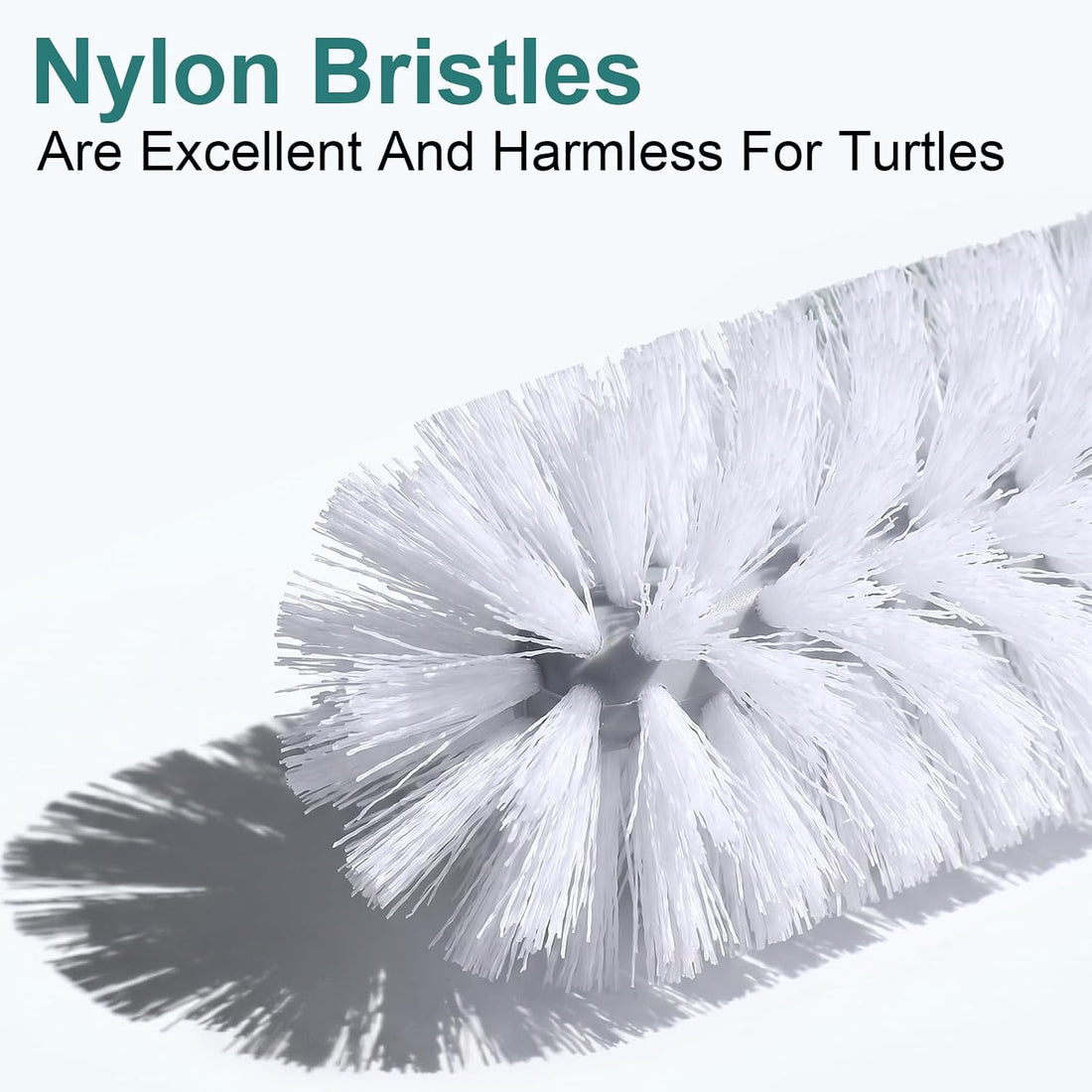 Turtle Brush for Shell Cleaning, Turtle Brush with Suction Cup