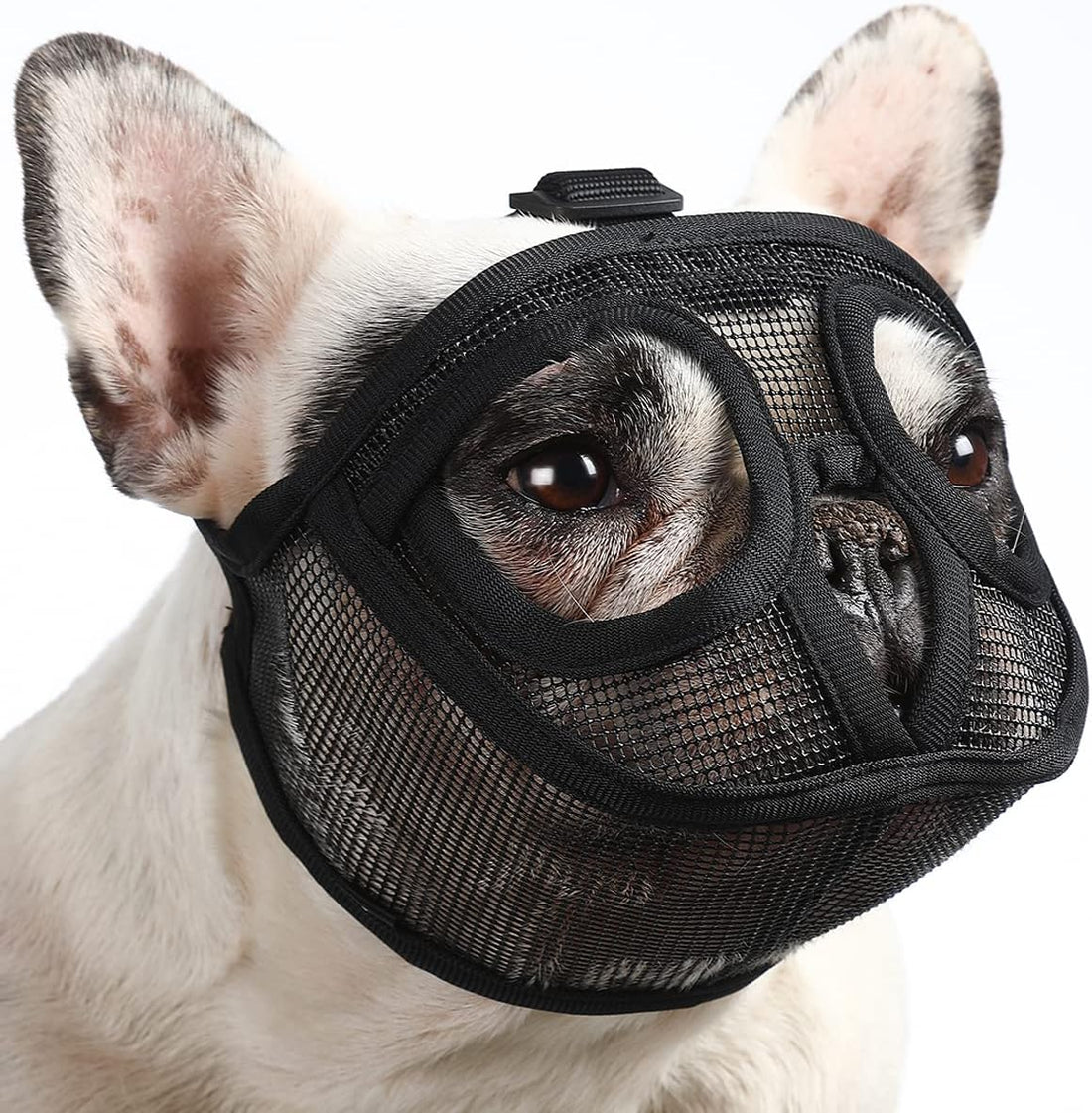BARKLESS Short Snout Muzzle for French Bulldog, Shih Tzu