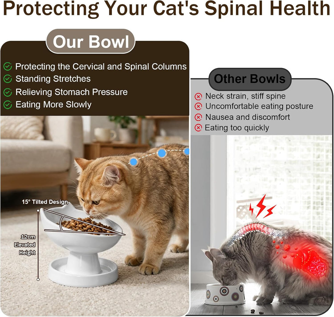 Raised Slow Feeder Cat Bowl, Ceramic 15° Tilted Cat Bowl
