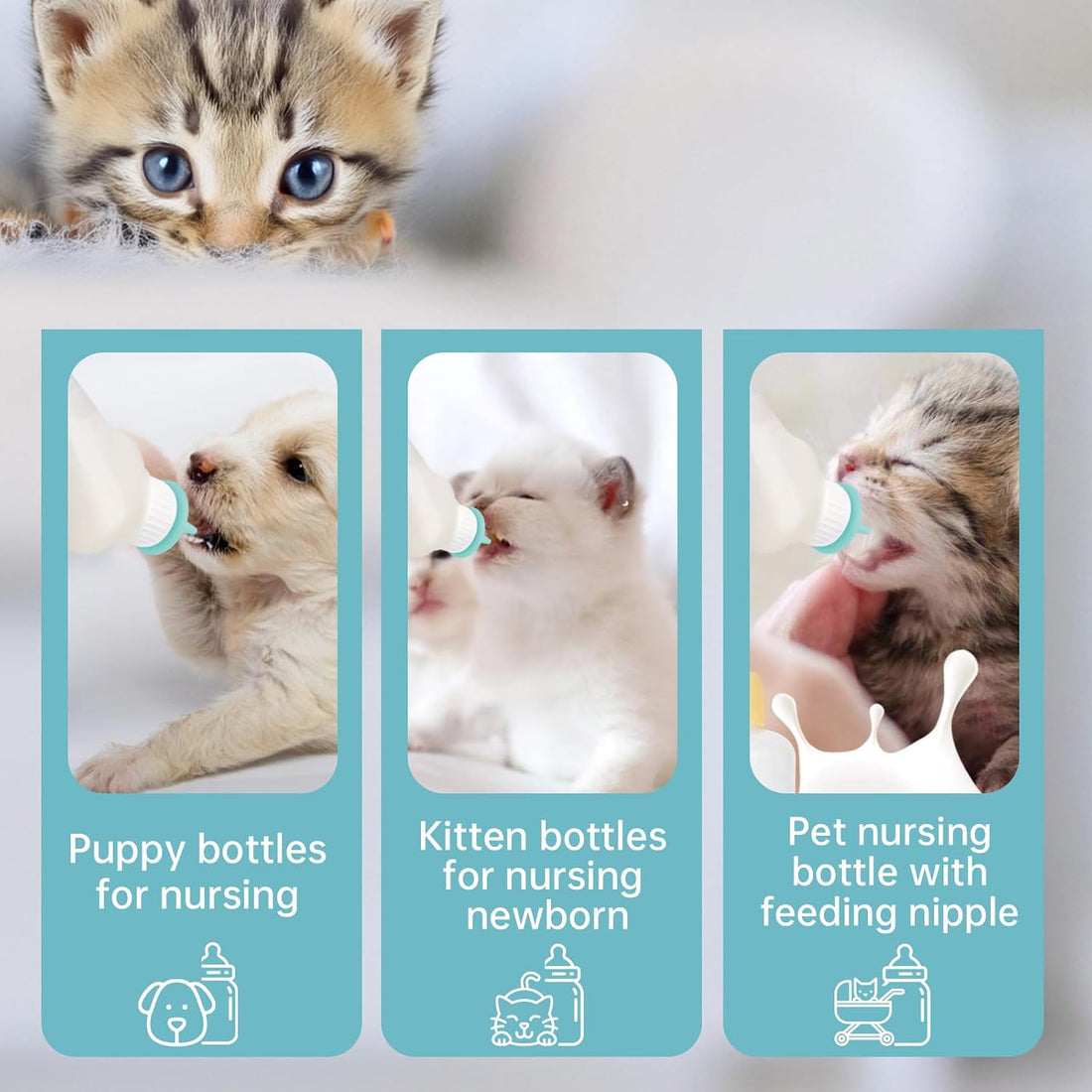 5Pack Kitten Bottle for Nursing Puppy Milk Kitten Bottles Feeding Kit