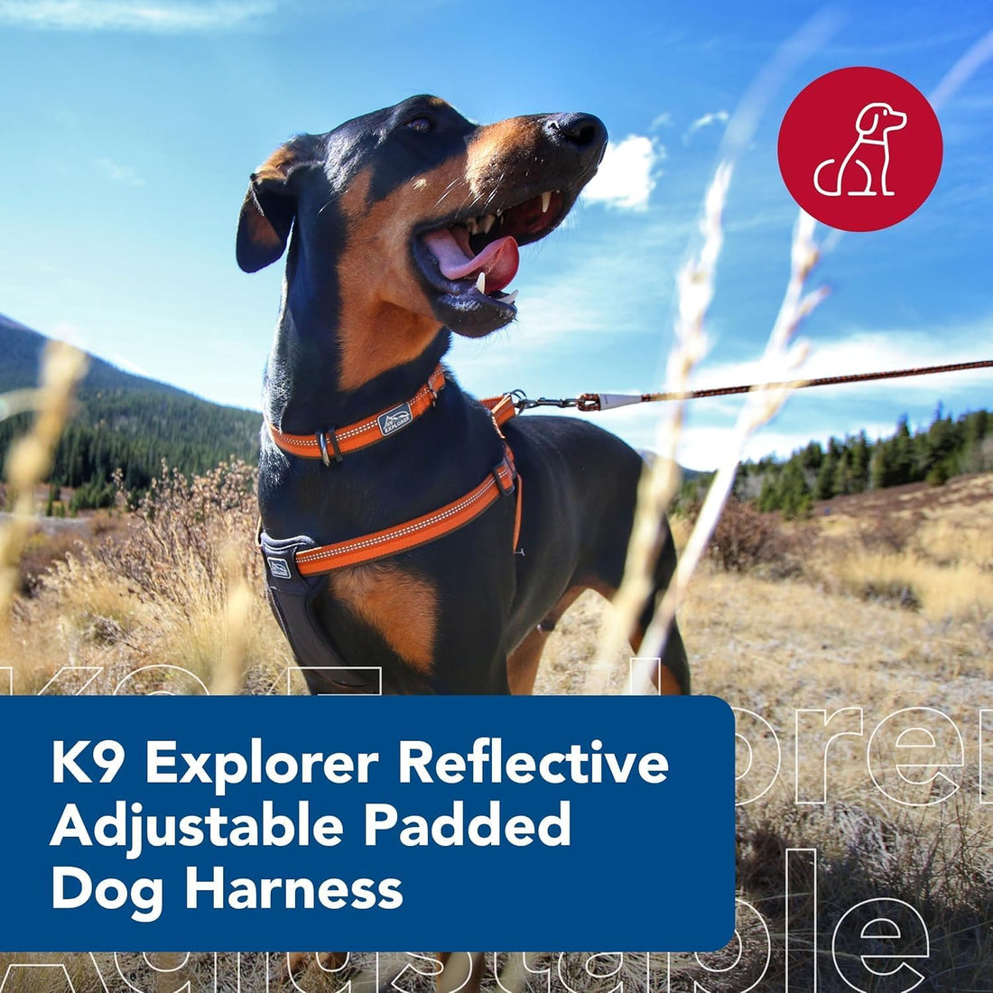 Coastal Pet K9 Explorer Reflective Adjustable Padded, 5/8" x 16" 24"