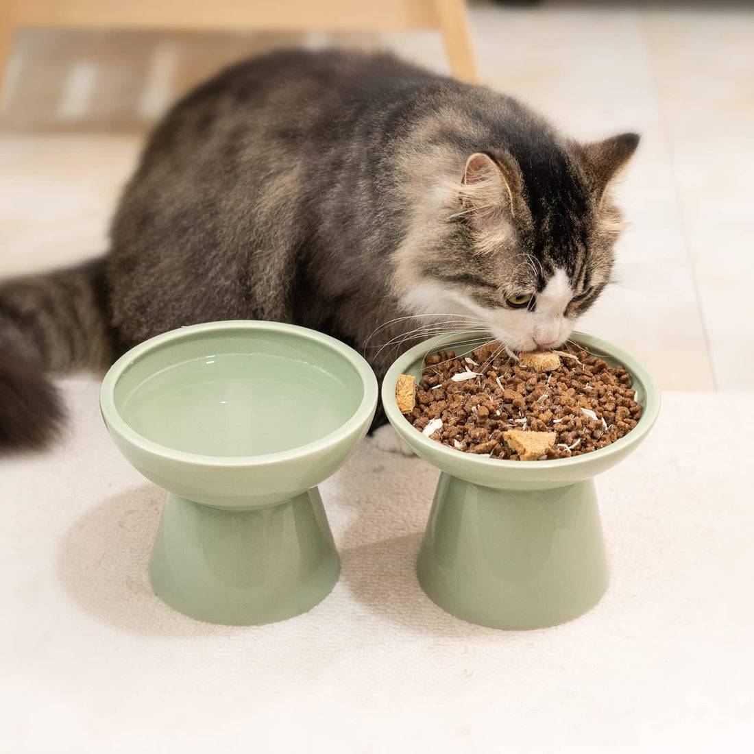 CEEFU 2 Elevated Ceramic Cat Bowls Extra Wide for Food & Water