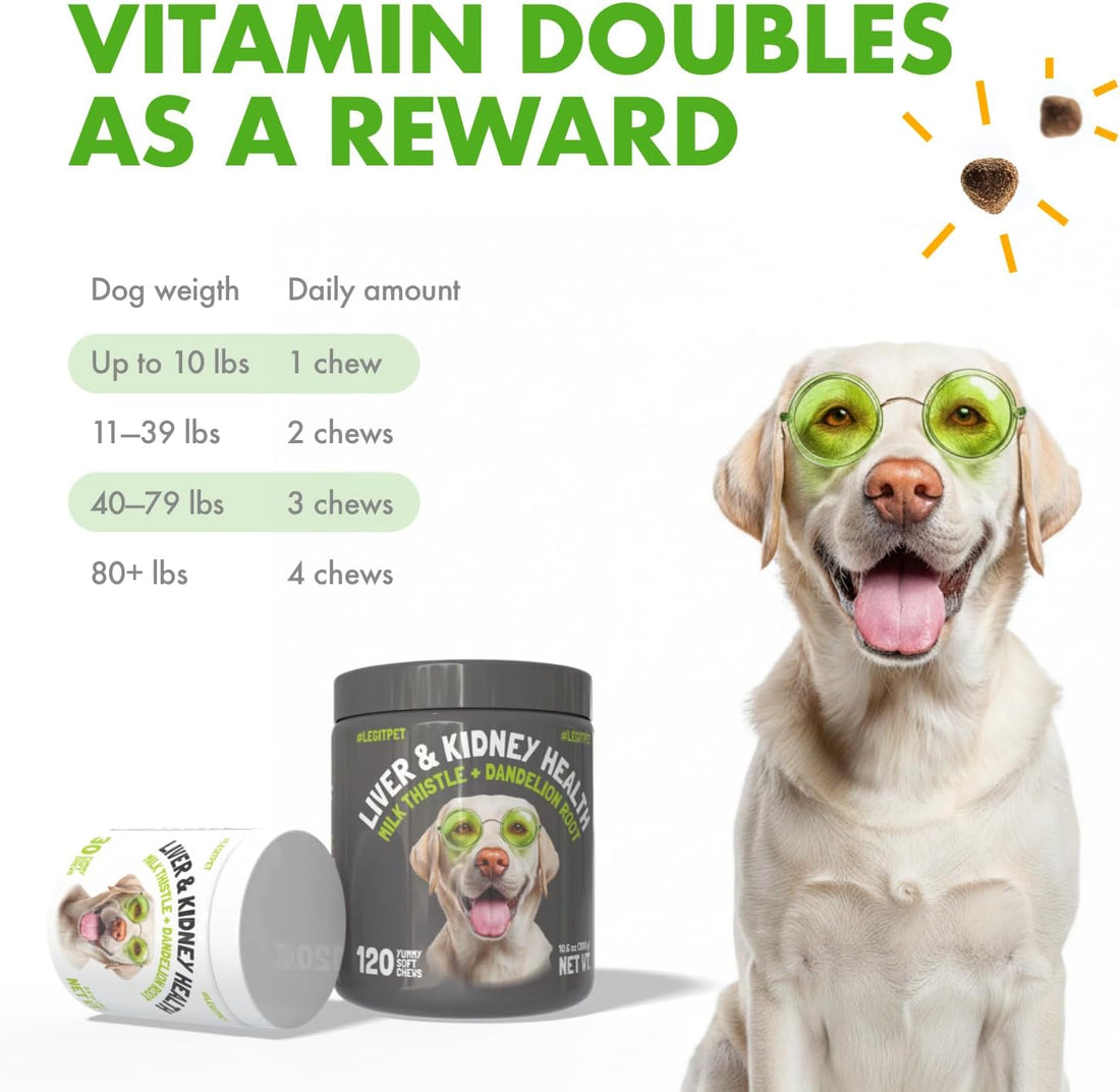 Liver & Kidney Support for Dogs Detox Natural Supplement with Milk