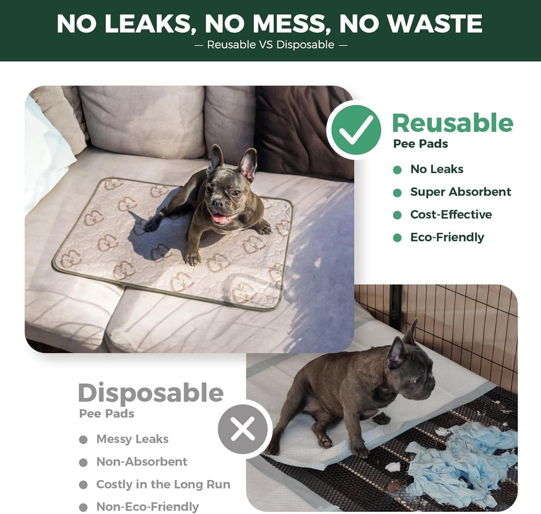 FXW Washable Pee Pads for Dogs, Super Absorbent