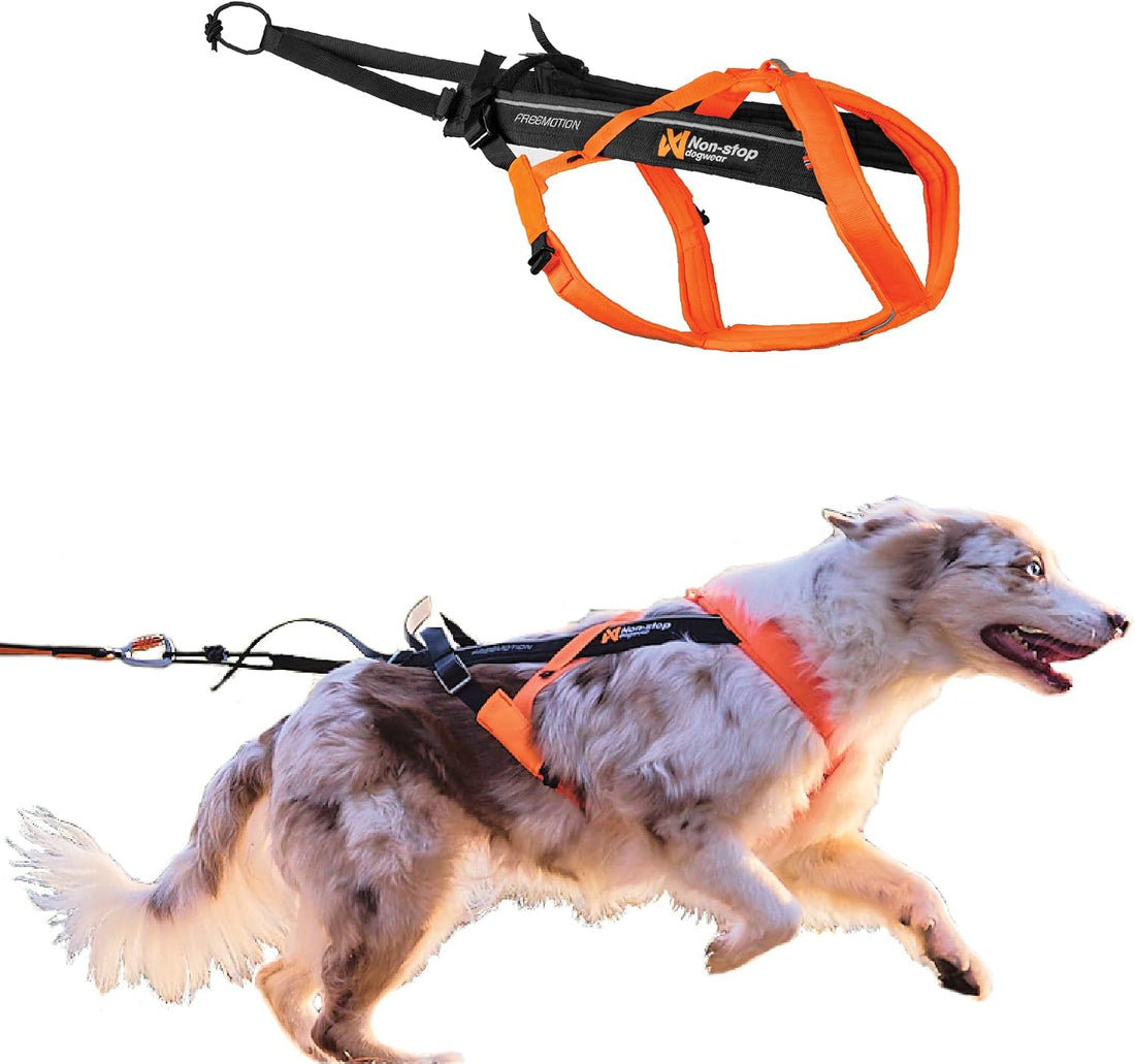 Non-stop dogwear Freemotion Harness 5.0 Dog Pulling Harness