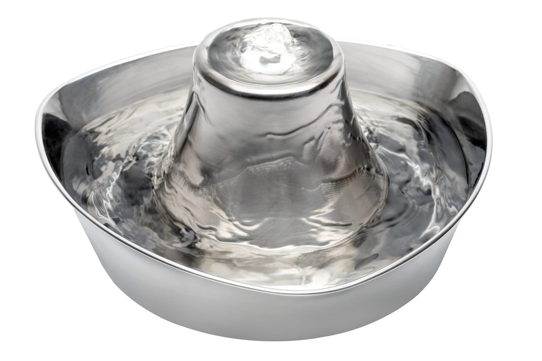 PetSafe Seaside Stainless Steel Cat & Dog Fountain