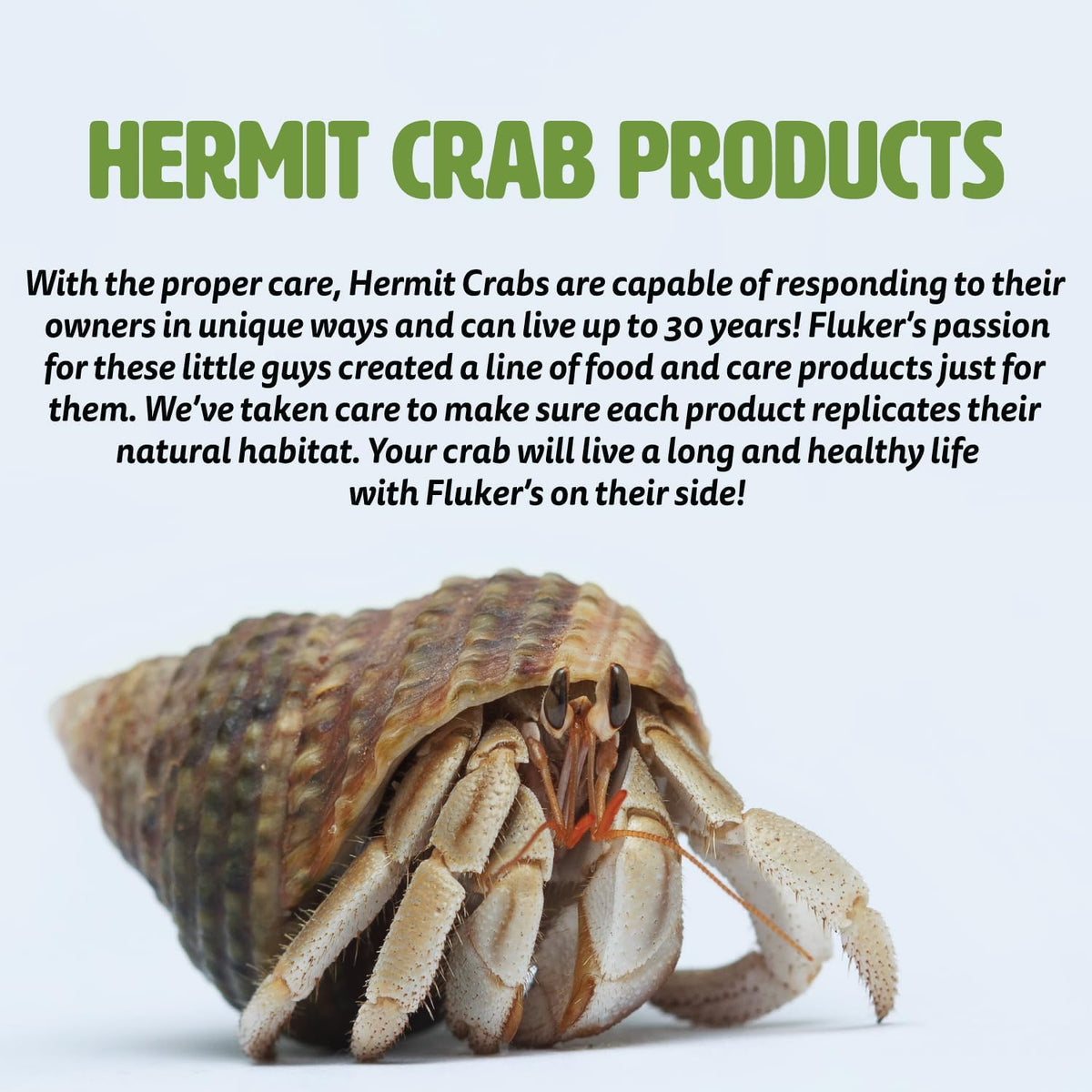 Fluker's Deodorizing Probiotic Spray for Hermit Crab Enclosures, 4 oz
