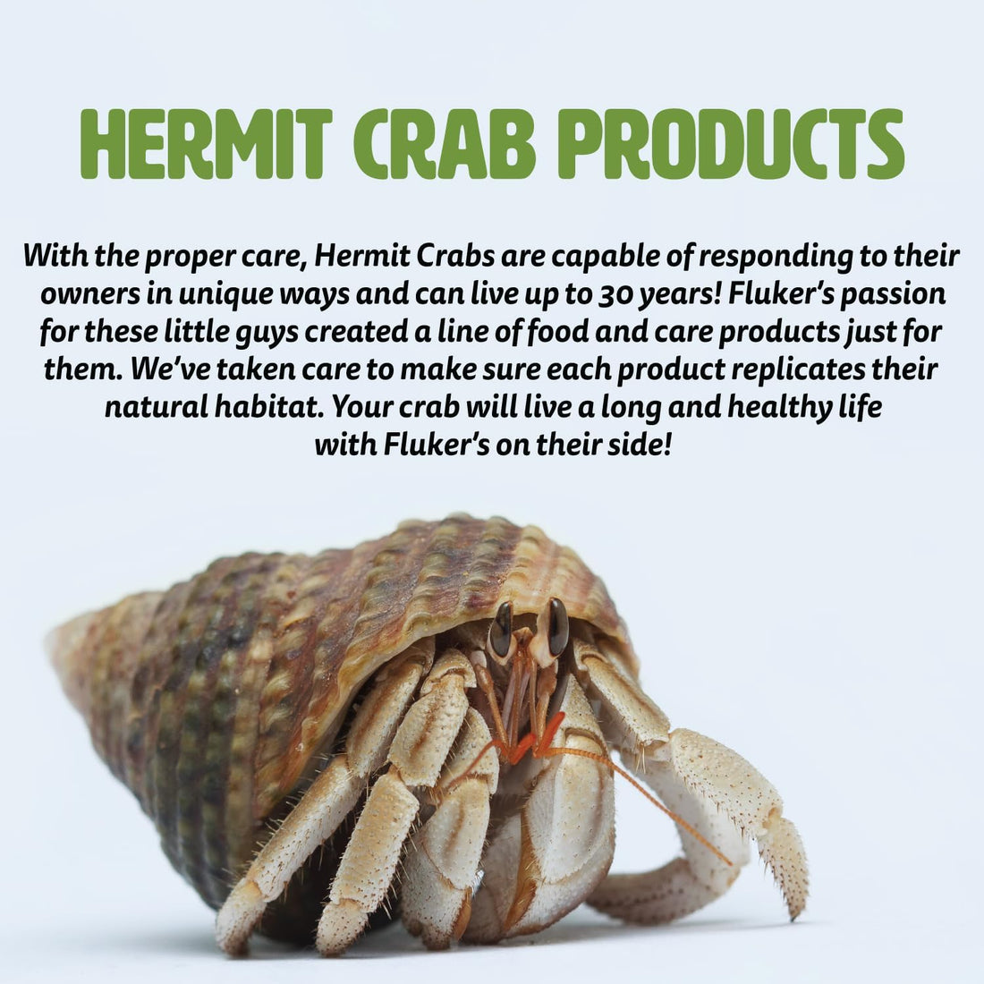 Fluker's Natural Sea Sponge for Hermit Crabs