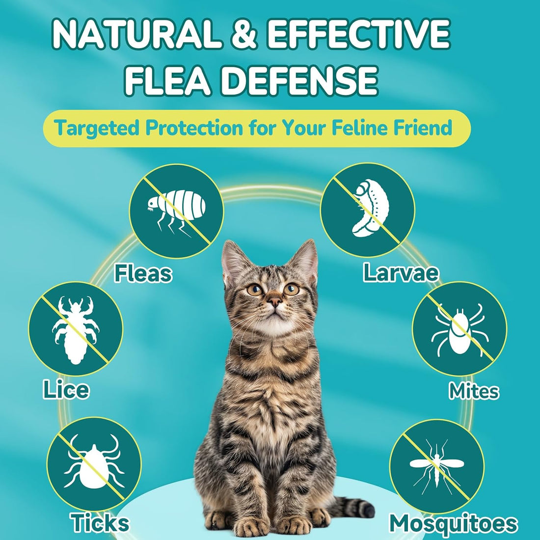Flea and Tick Prevention Chews Bundle for Cats & Dogs