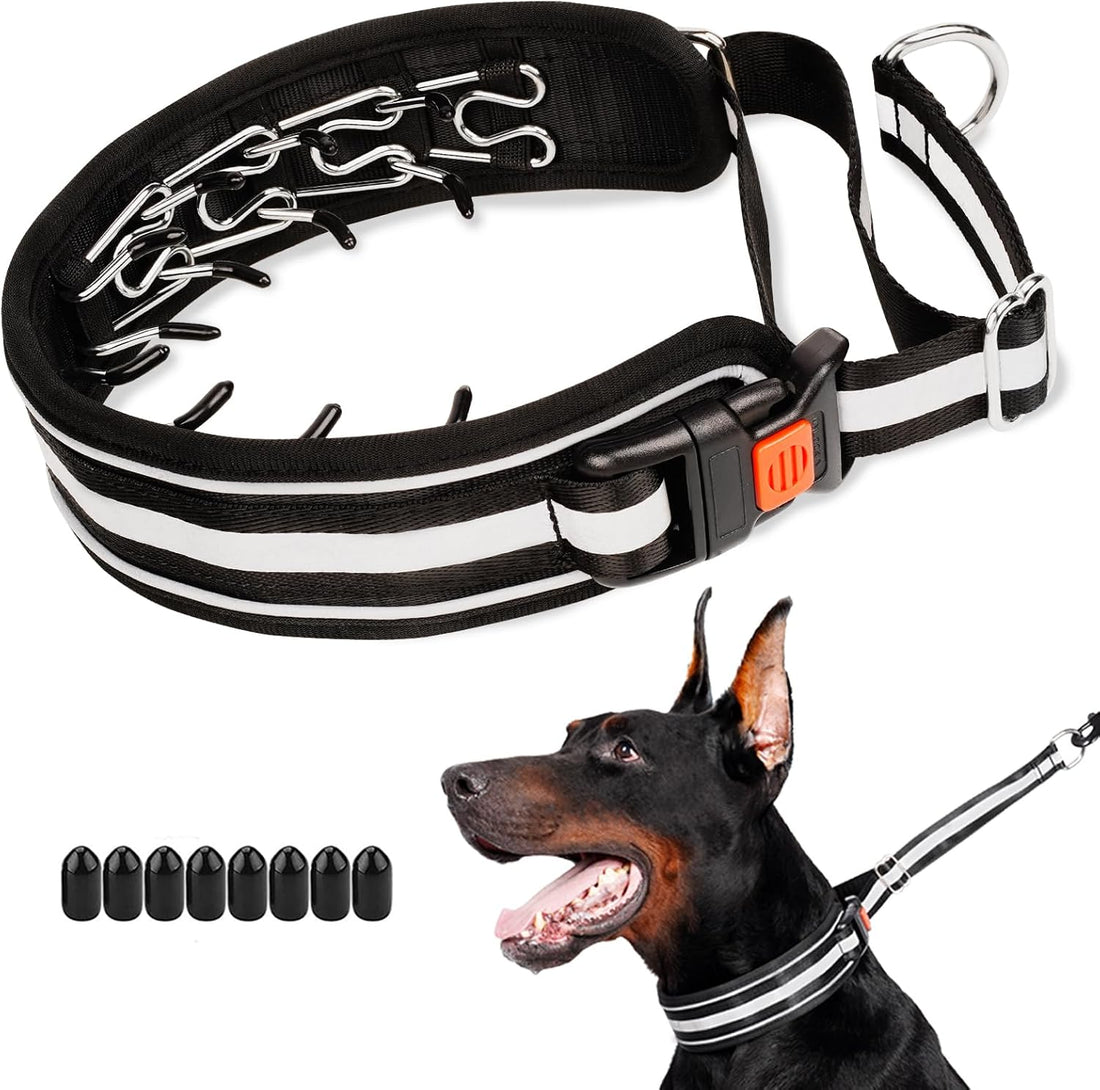 Mayerzon Martingale No Pull Dog Collar