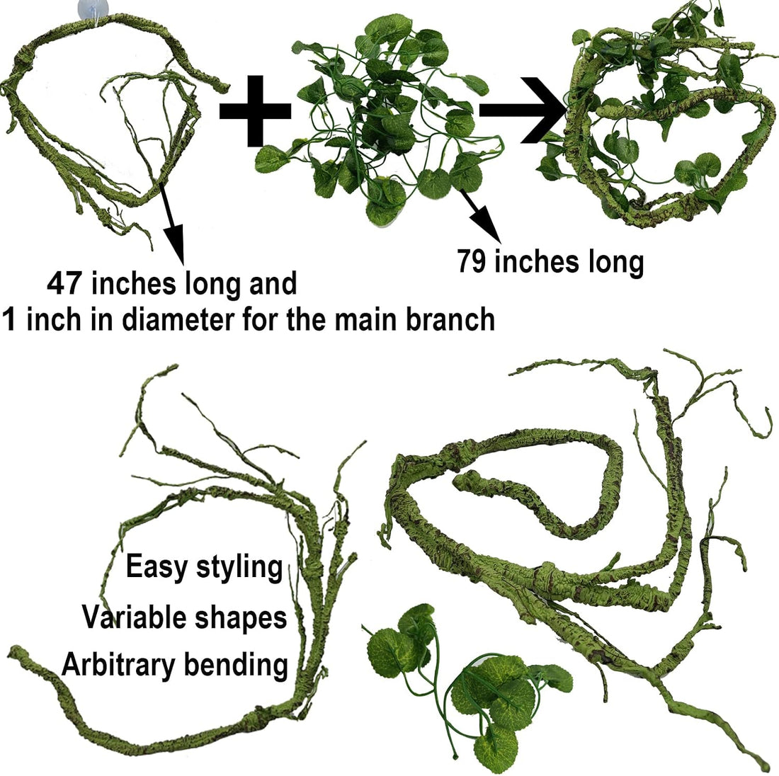 Reptile Plants for Bearded Dragon Tank Accessories