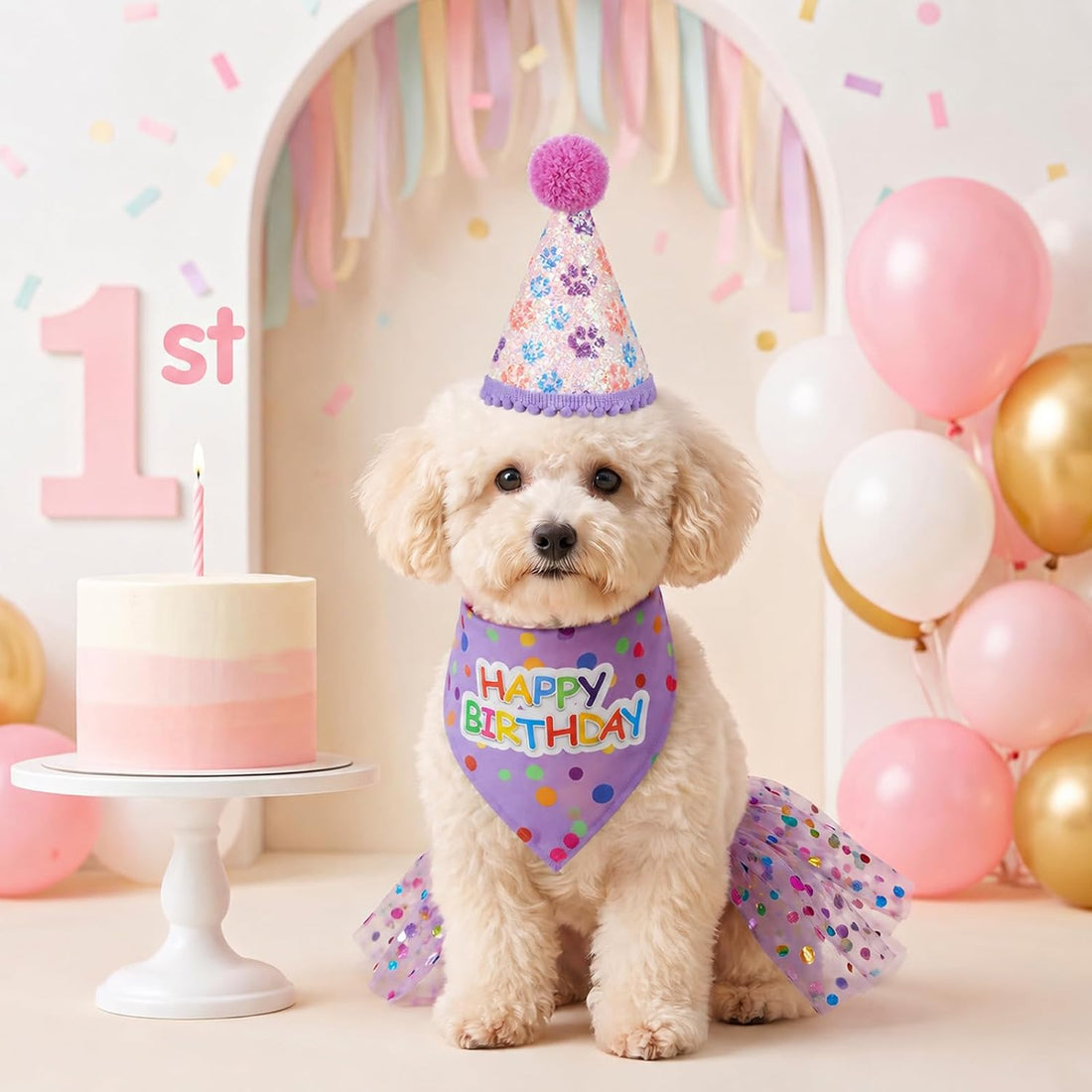 Dog Birthday Bandana with Hat and Dress Dog Birthday Outfit Girl