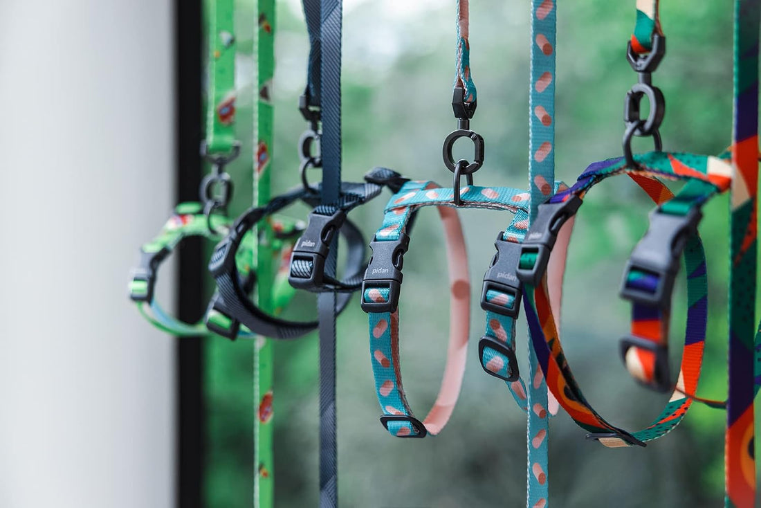pidan Cat Harness and Leash Set, Cats Escape Proof