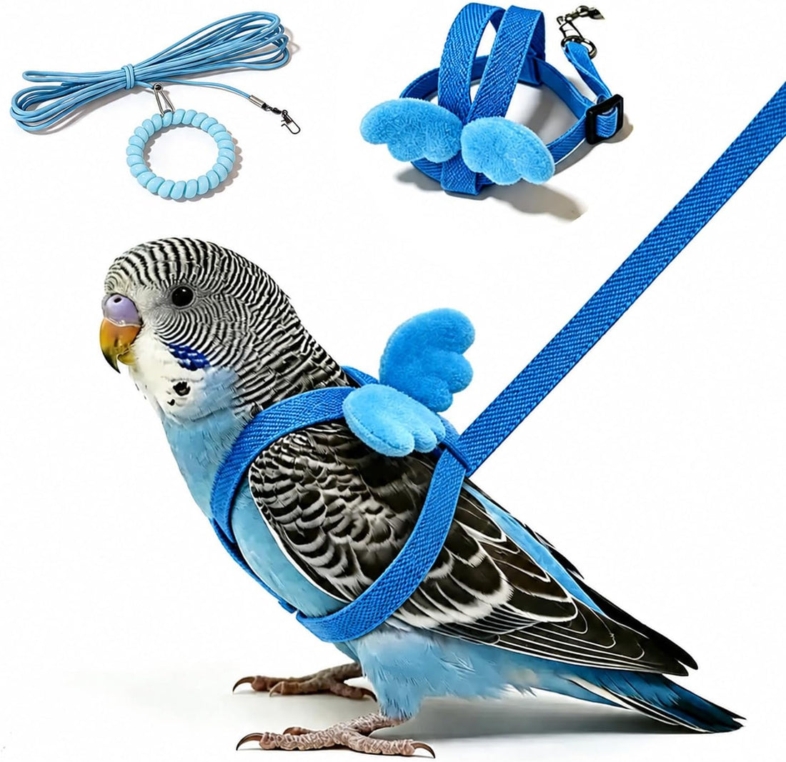 Pet Parrot Bird Harness and Leash, 2m Adjustable Polyester Rope