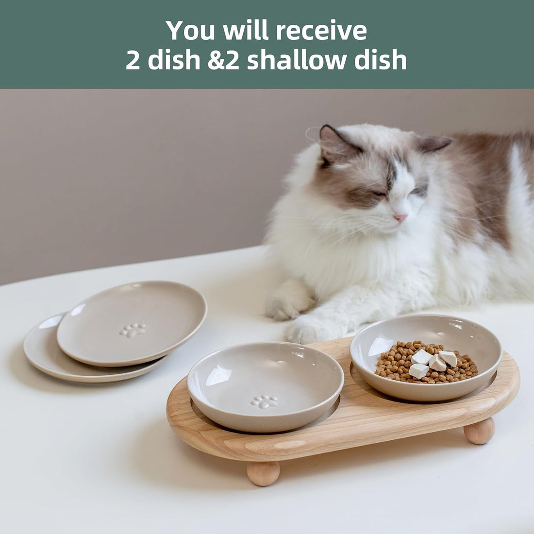 Havniva Cat Bowls Elevated 5.6” Ceramic Cat Bowl with Stand Whisker