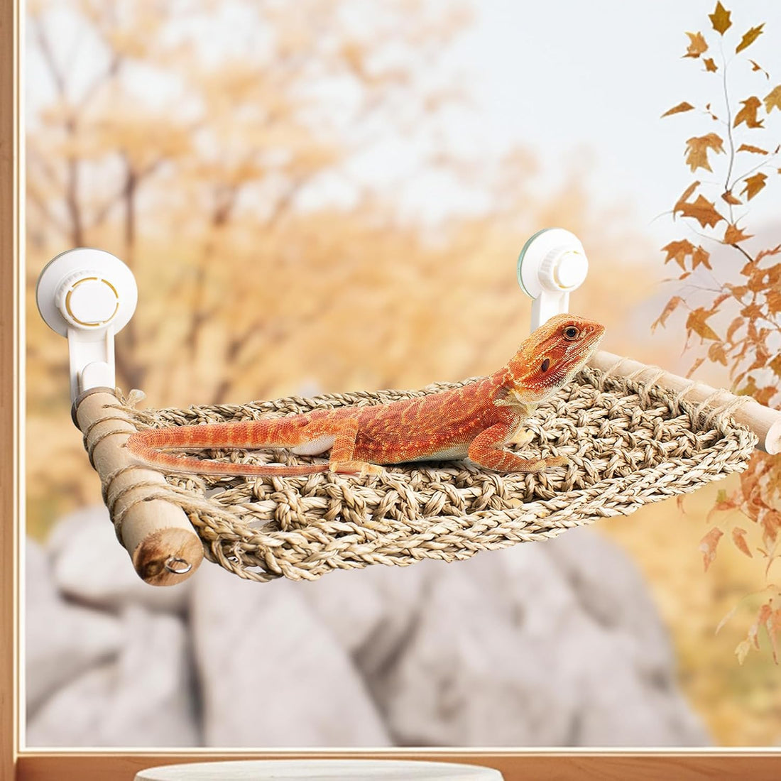 FlidRunest 21.6 x 7.8 in Seagrass Bearded Dragon Hammock for Window