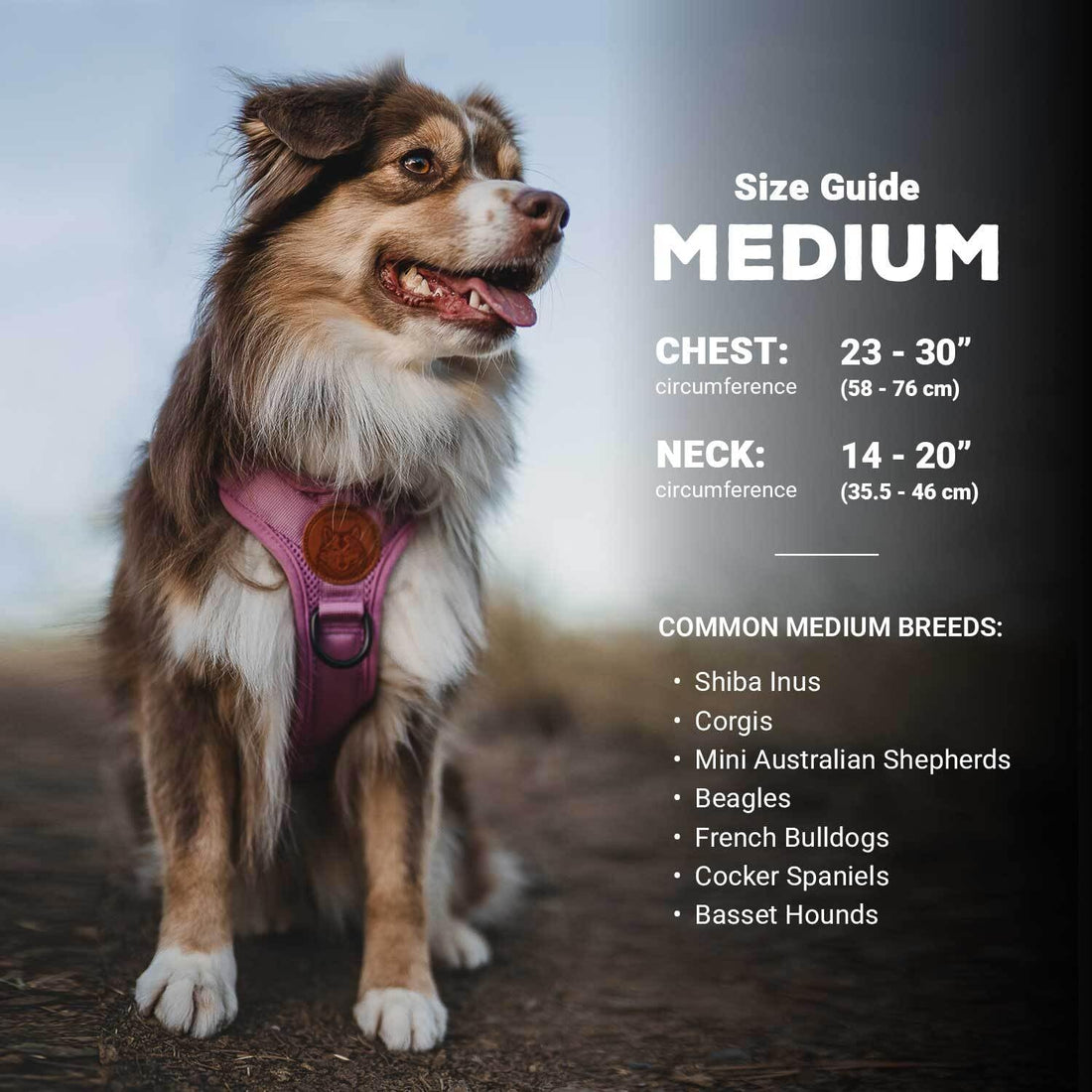 Wilderdog Lightweight Dog Harness with Reflective Straps - Medium