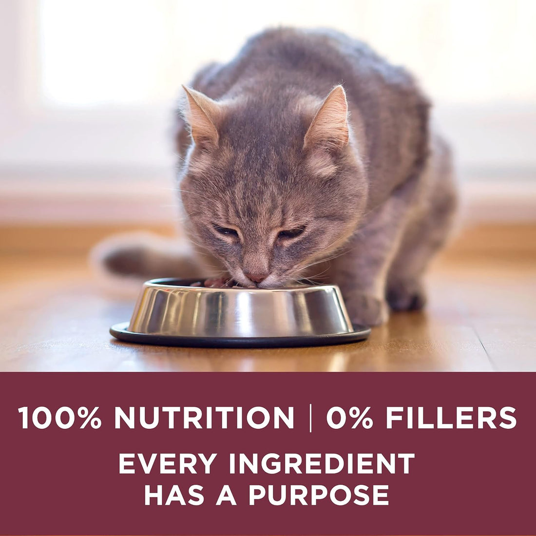 Purina ONE High Protein Dry Cat Food
