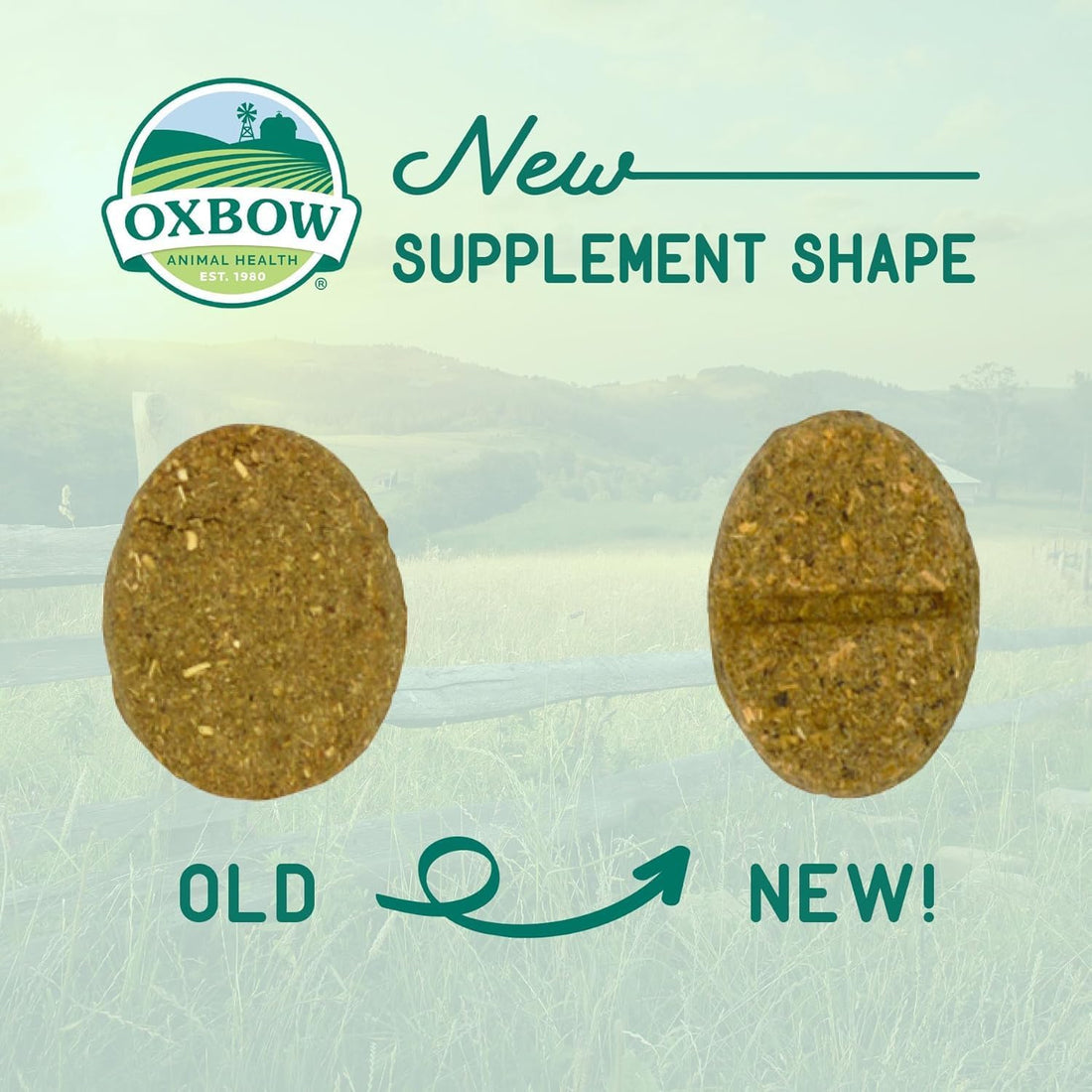 Oxbow Natural Science Joint Support Wafers for Small Pets, 4.2oz