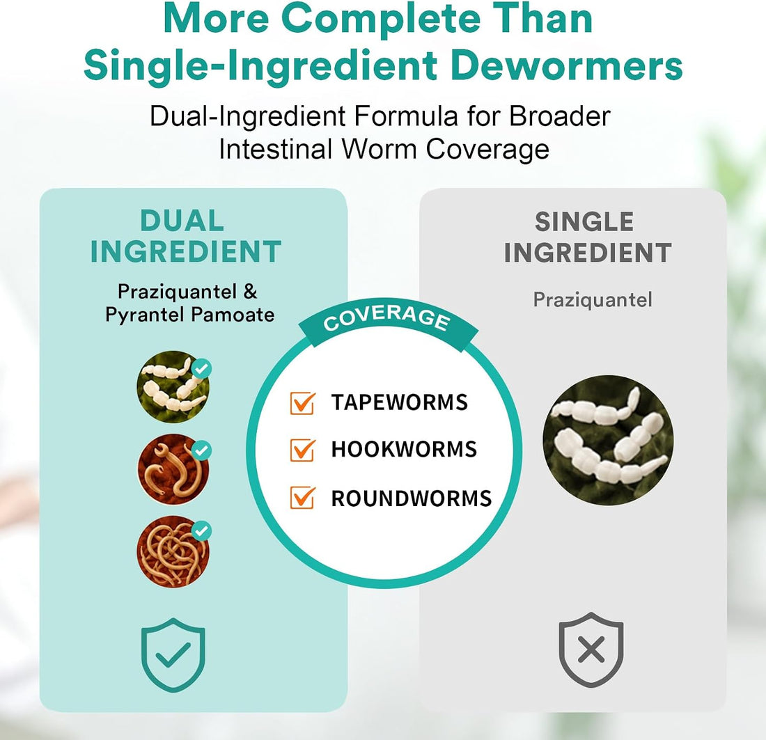 Dewormer for Dogs, Praziquantel & Pyrantel Pamoate Treatment
