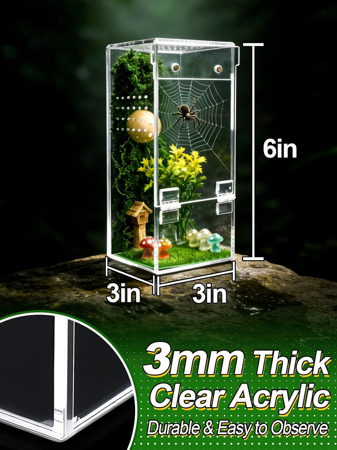 Escape-Proof One-Piece Jumping Spider Enclosure Accessories