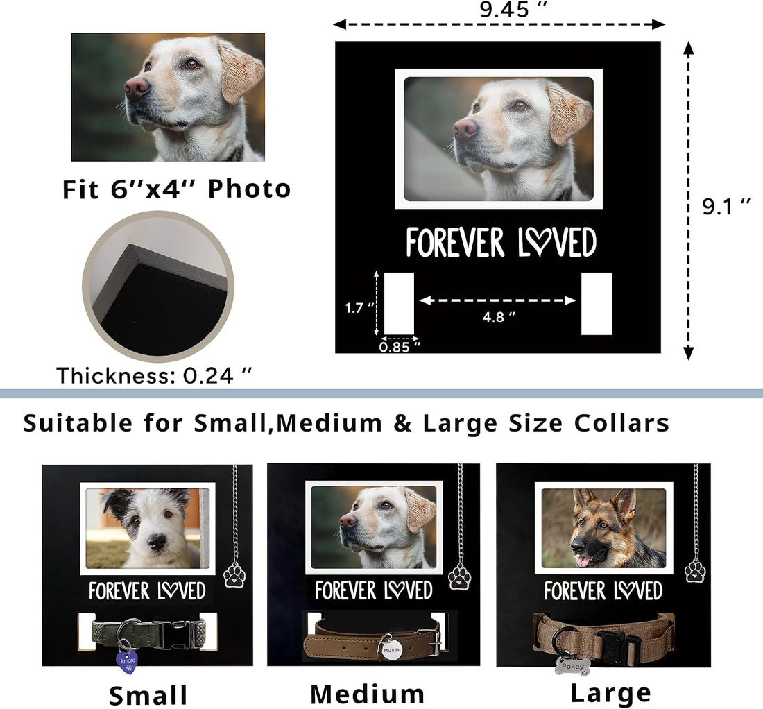 MYPAWLETS Dog/Cat Collar Memorial Frame with Paw Print Charm,Pet Loss