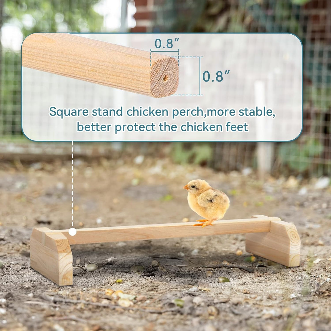 PETSFIT Chick Roosting Bar Prevent Rotation Design