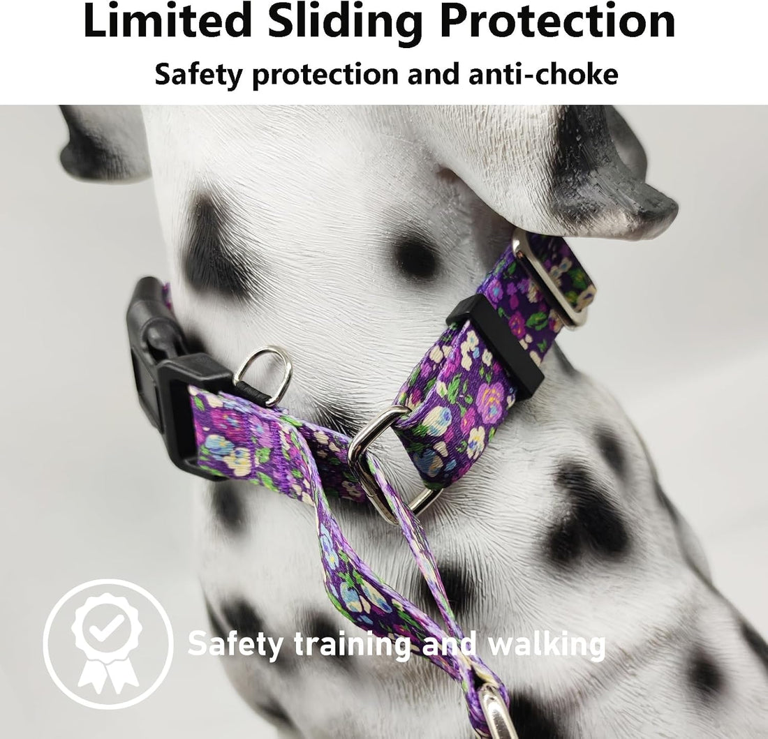 Martingale Collar for Dogs with Buckle Adjustable Nylon Slip No Pull