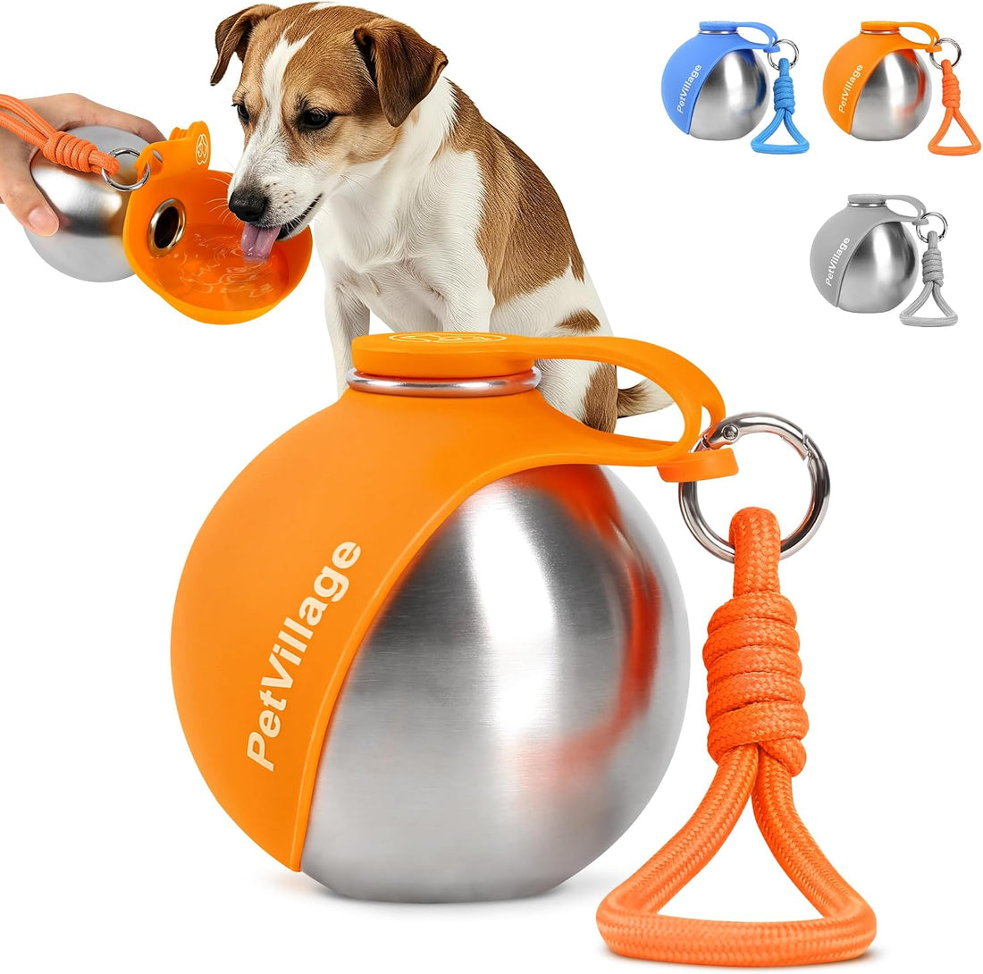 2-in-1 Dog Water Bottle with Foldable Bowl