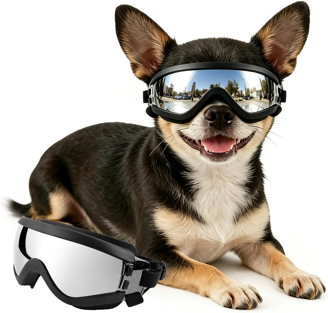 Dog Goggles for Small Breed Pet Sunglasses Eye Protection Anti-UV