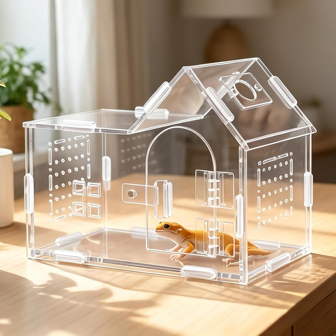 Acrylic Jumping Spider Enclosure: Arboreal Tarantula Enclosure