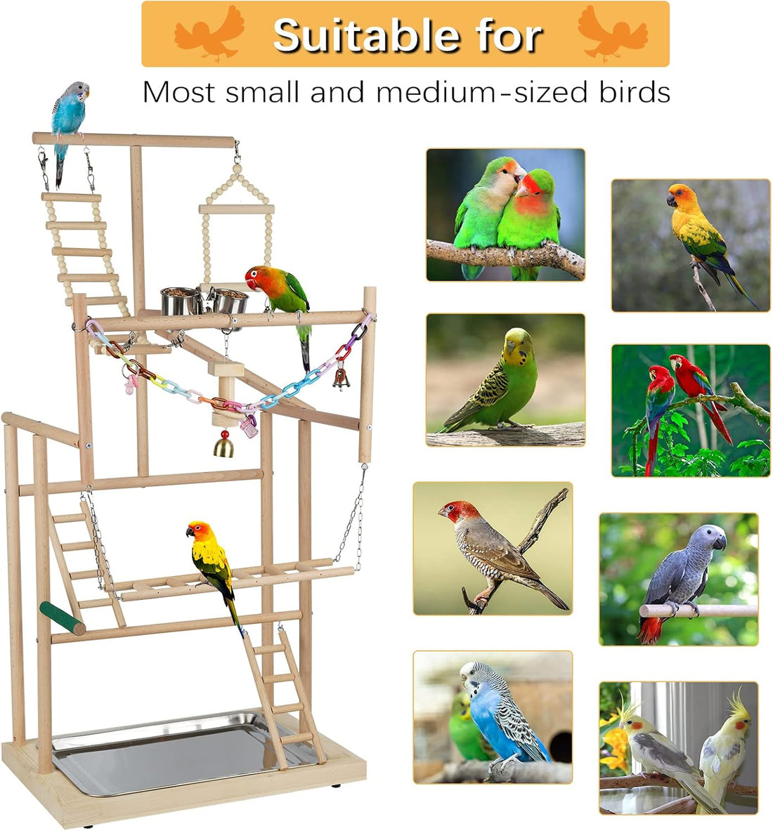 Ibnotuiy Pet Parrot Playstand Parrots Bird Playground Bird Play Stand