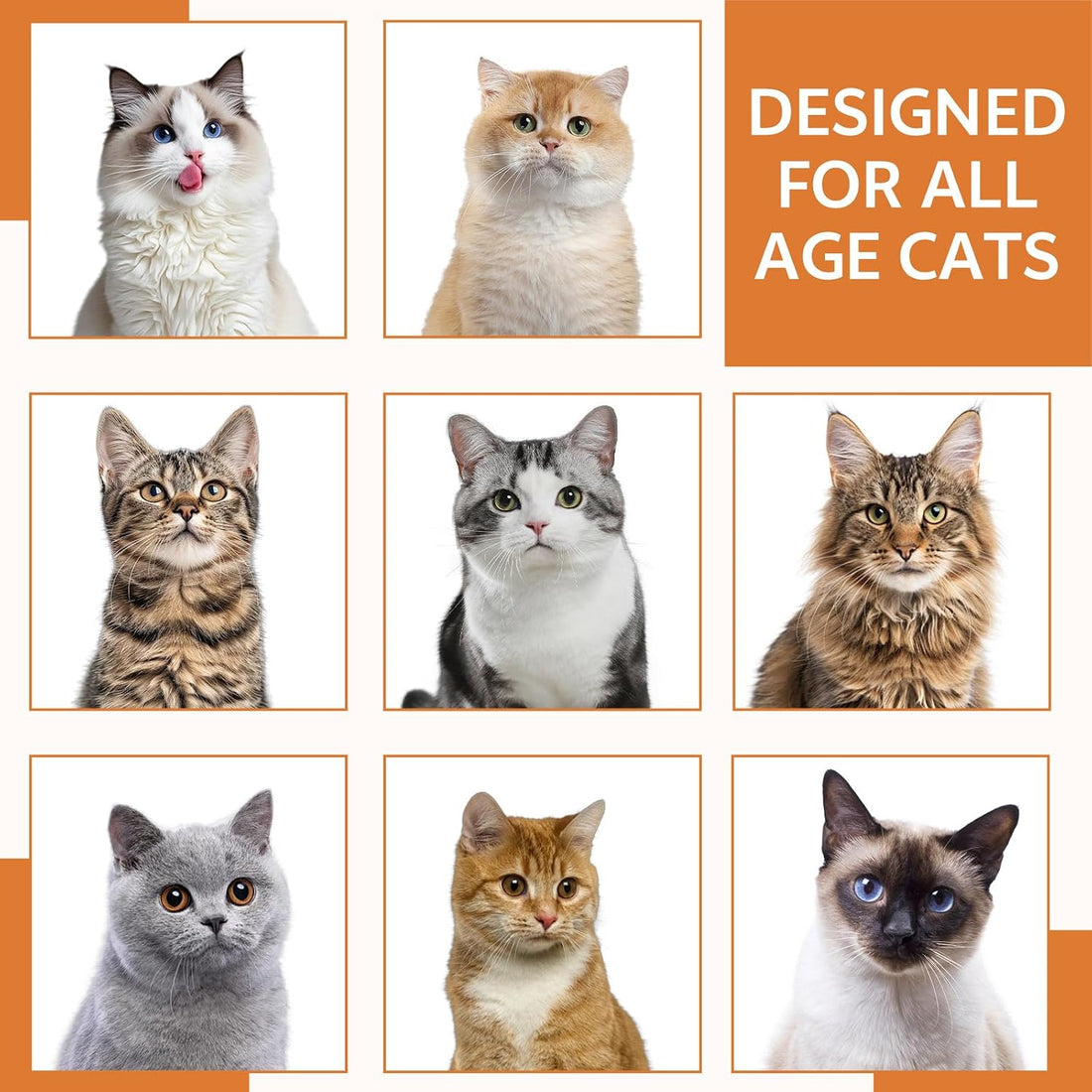 Cat Deterrent Spray, Natural No Scratch Spray for Cats, 6.76 OZ