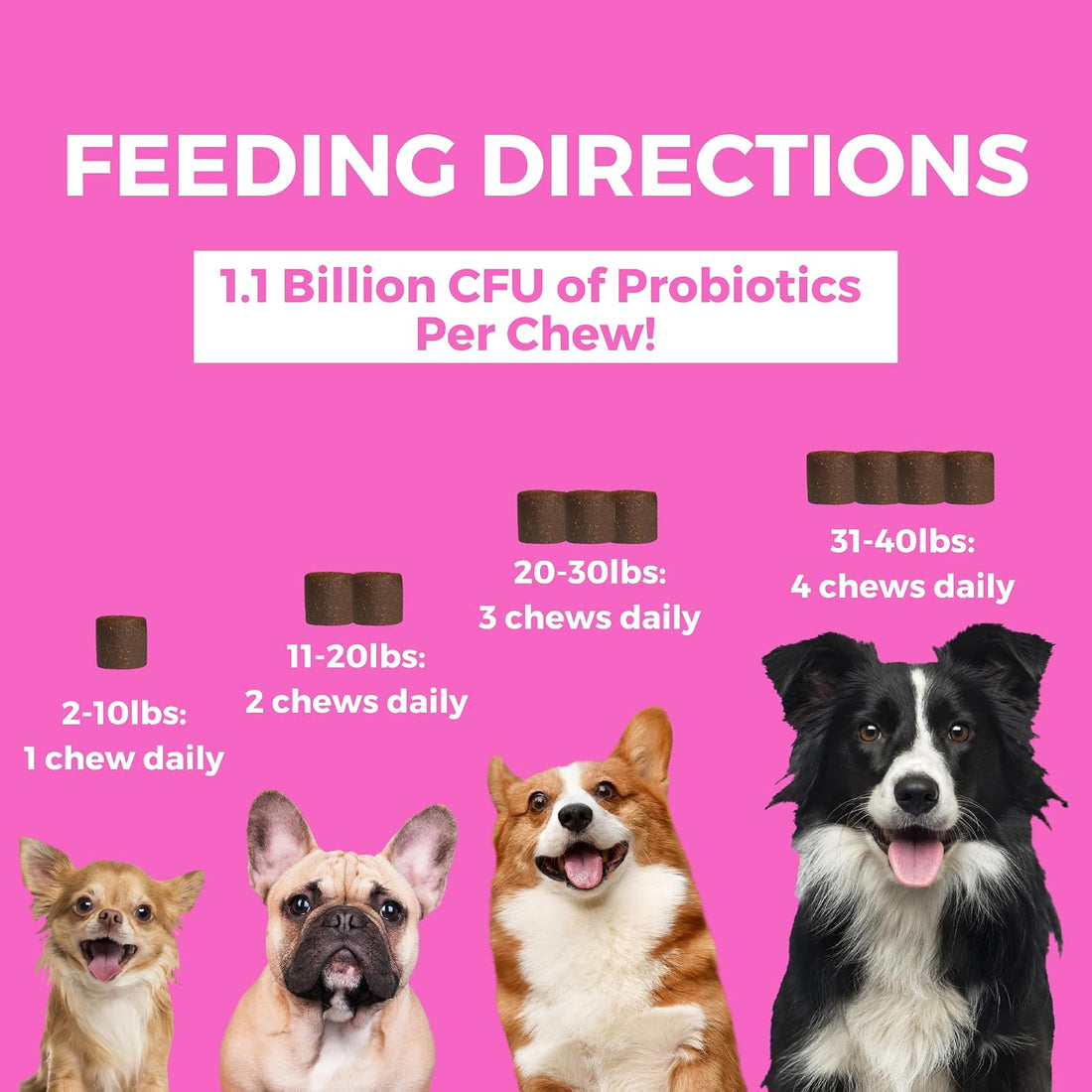 Progility Pre & Probiotics Supplement for Dogs, Digestive Support
