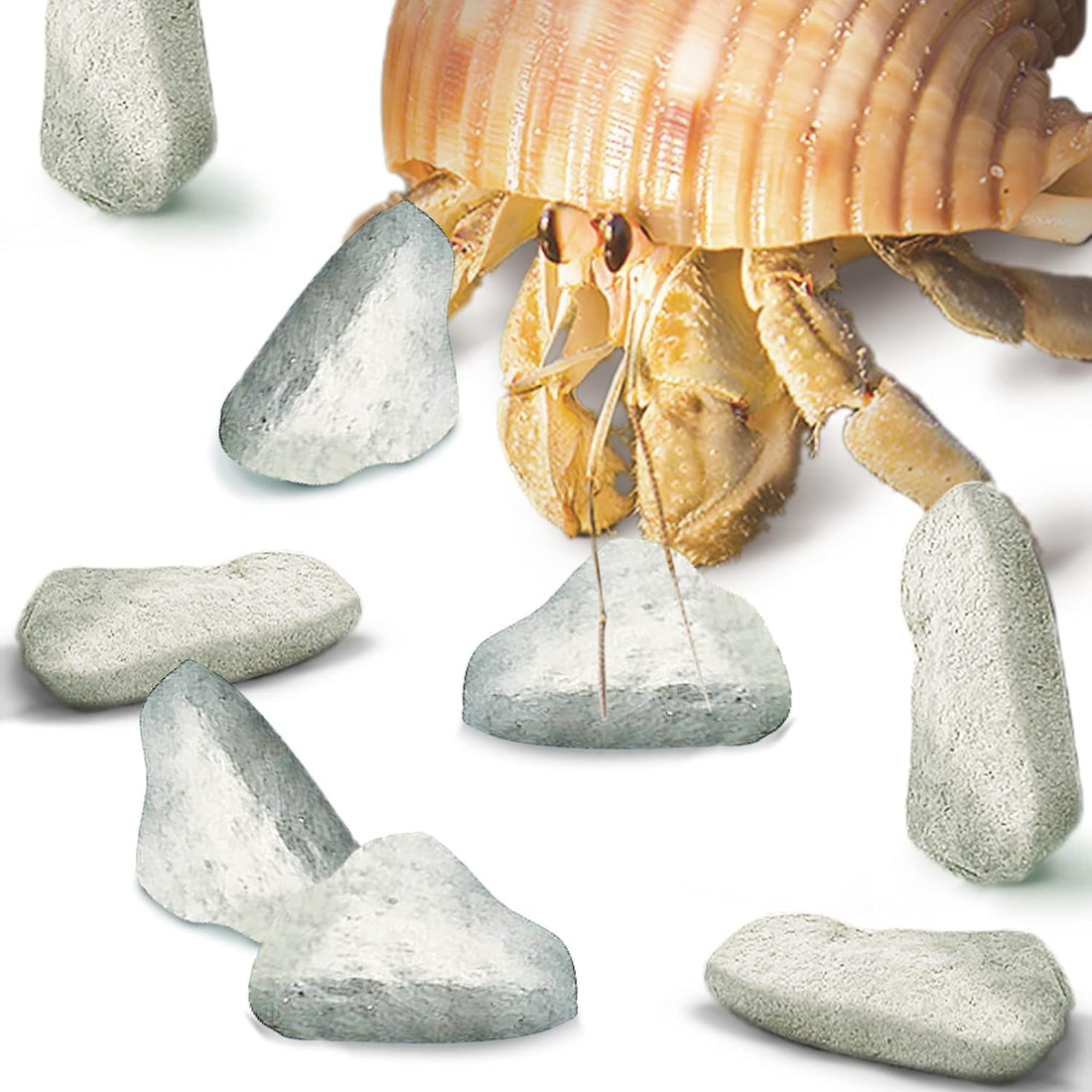 JOR Calcium Rocks for Shrimps, Color Enhancing Breeding Hideout