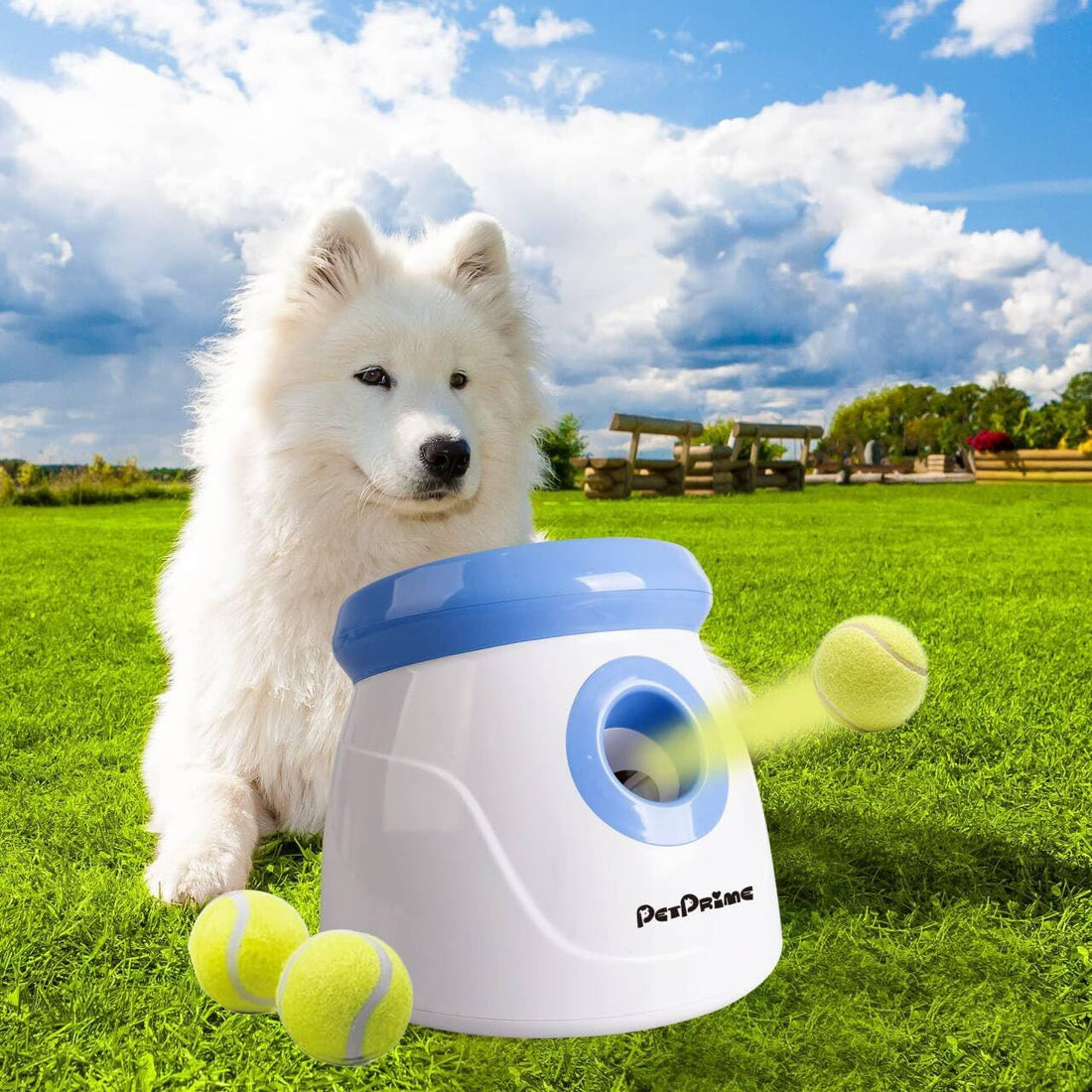 Pet Prime Dog Automatic Ball Launcher for Large Dogs Ball Thrower
