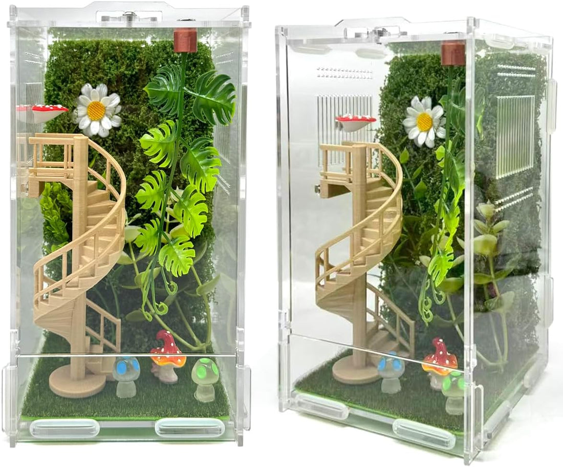 Jumping Spider Enclosure Accessories – Fun Spinning Stairs