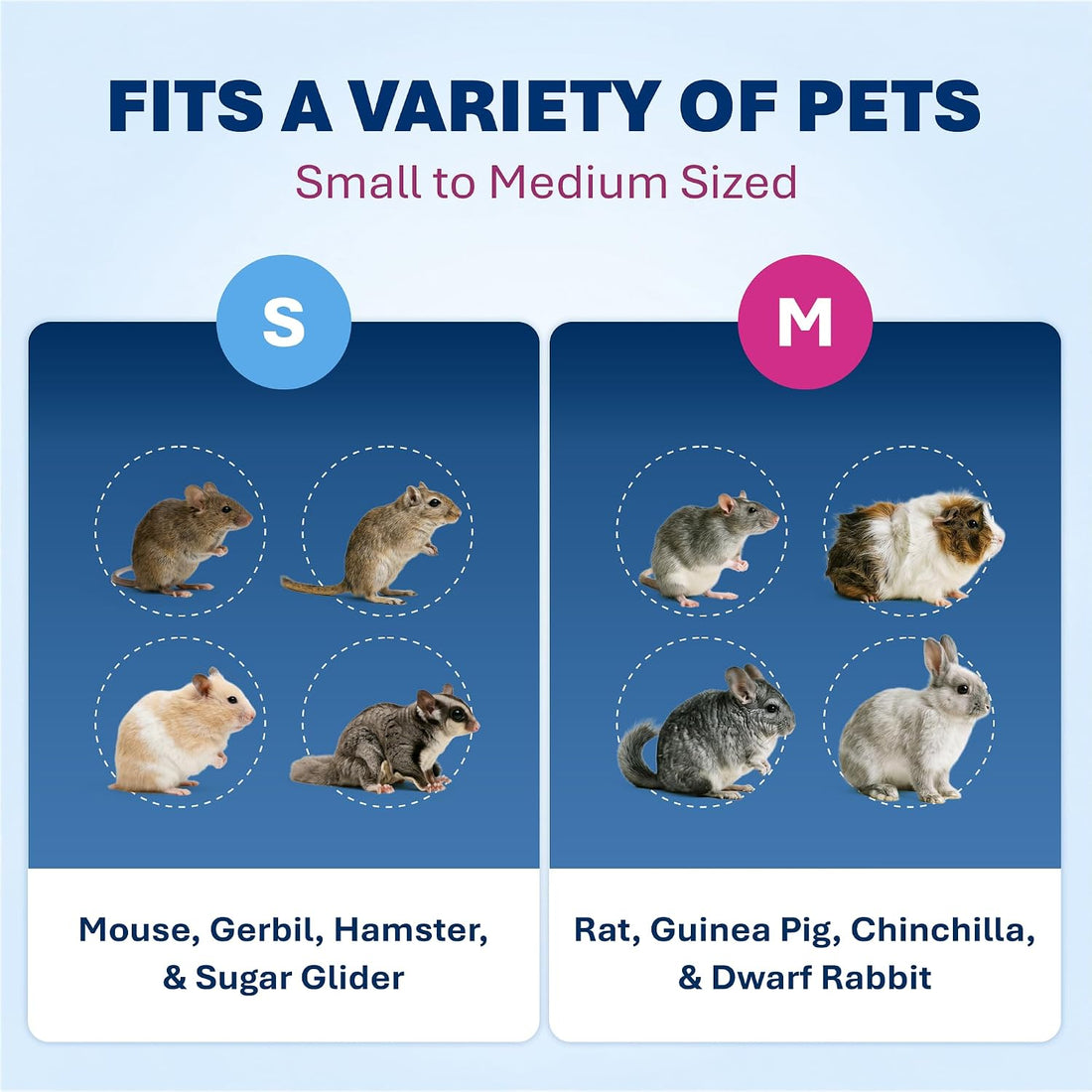 Prevue Pet Products Multi-Color Small Pet Playpen - Multi-Color