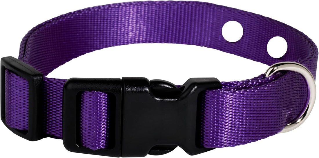 3/4" Orange Replacement Collar Strap