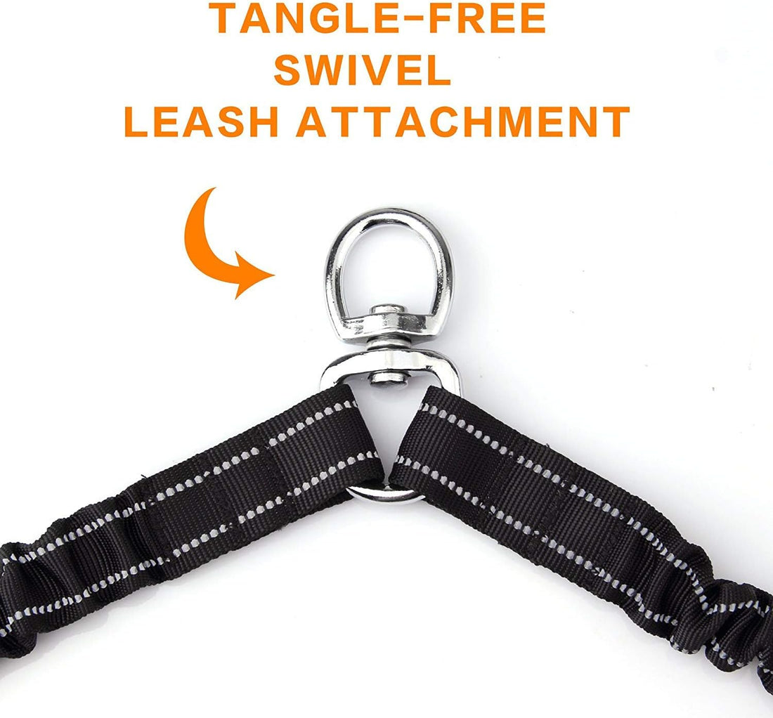 Double Dog Leash for Two Dogs - No Tangle
