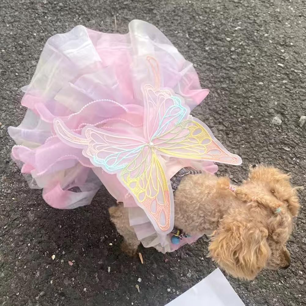 Rainbow Butterfly Dog Dresses for Small Dog Girl Puppy Lace Tutu