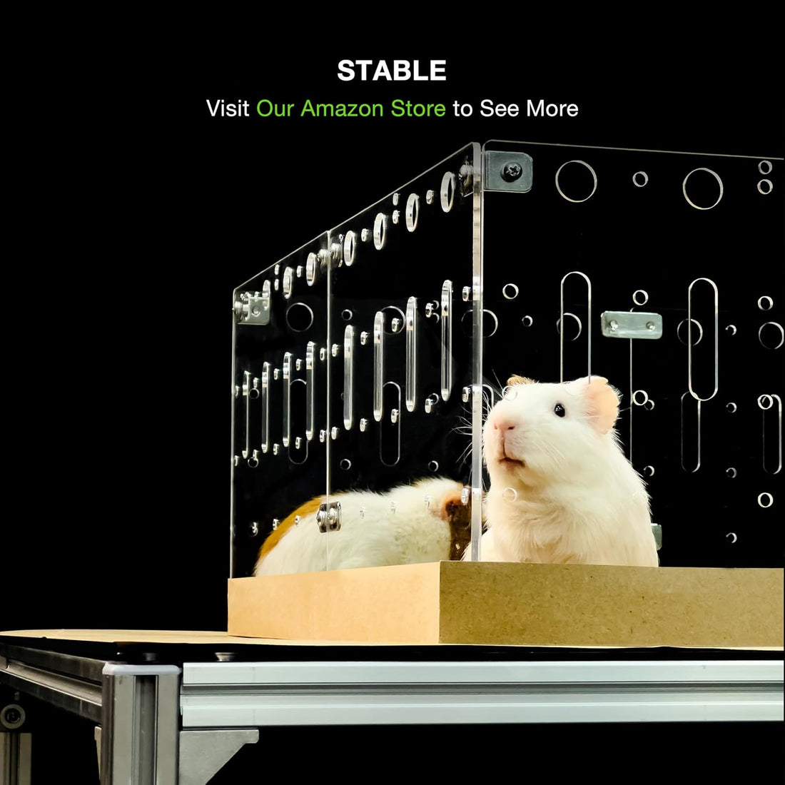 GuineaLoft™ Model-A Acrylic Guinea Pig Cage
