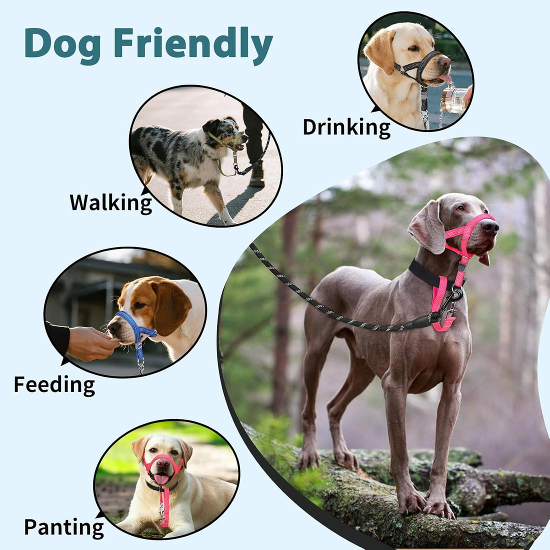 BARKLESS No Pull Head Collar for Medium Large Dogs, Sturdy Head Halter