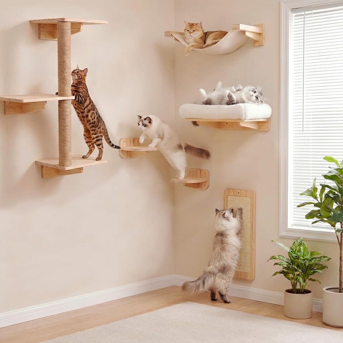 6-in-1 Cat Wall Shelves for Large Cats