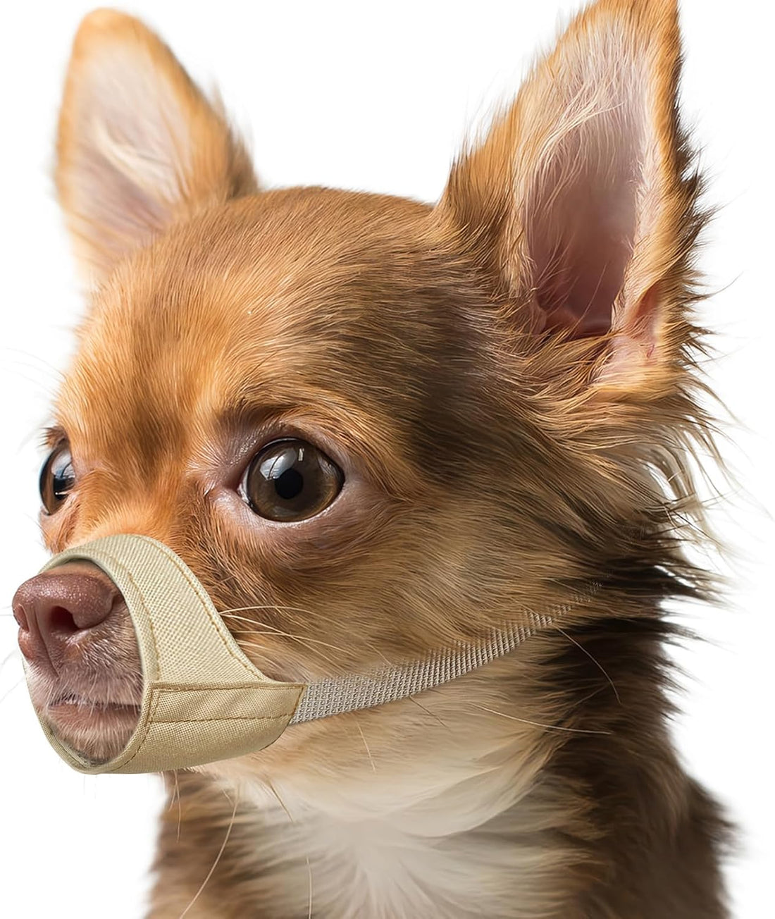 Mayerzon Fabric Dog Muzzle for Short Snout Small Dogs Chihuahuas
