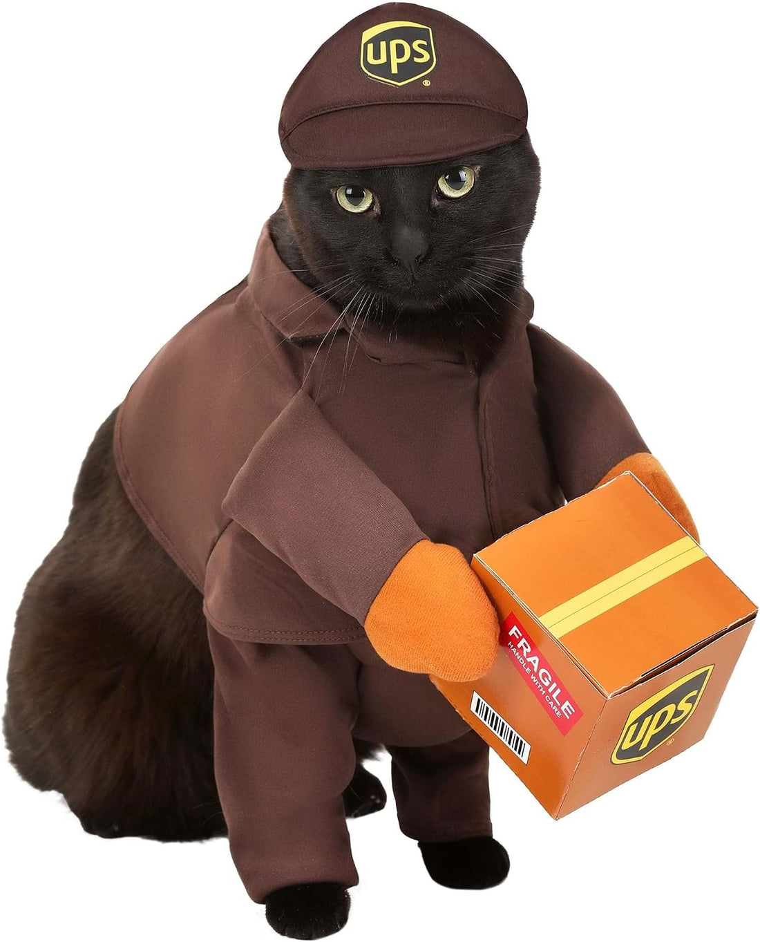UPS Pal, Dog Costume