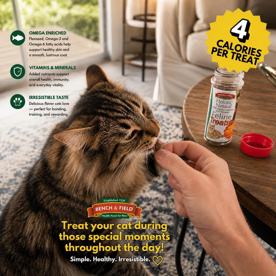 Bench & Field Holistic Natural Healthy Kitty Cat Treats